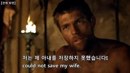 mistranslation_LETR