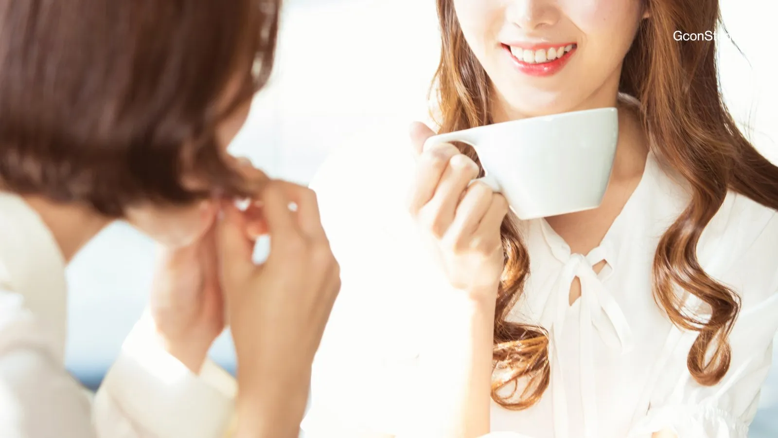 지콘스튜디오 번역사들 수다